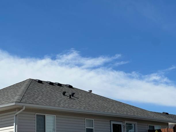 Best Roof Maintenance and Cleaning  in Owensboro, KY